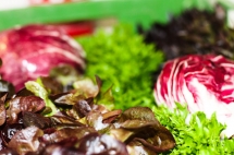 Blickwinkel_Salat